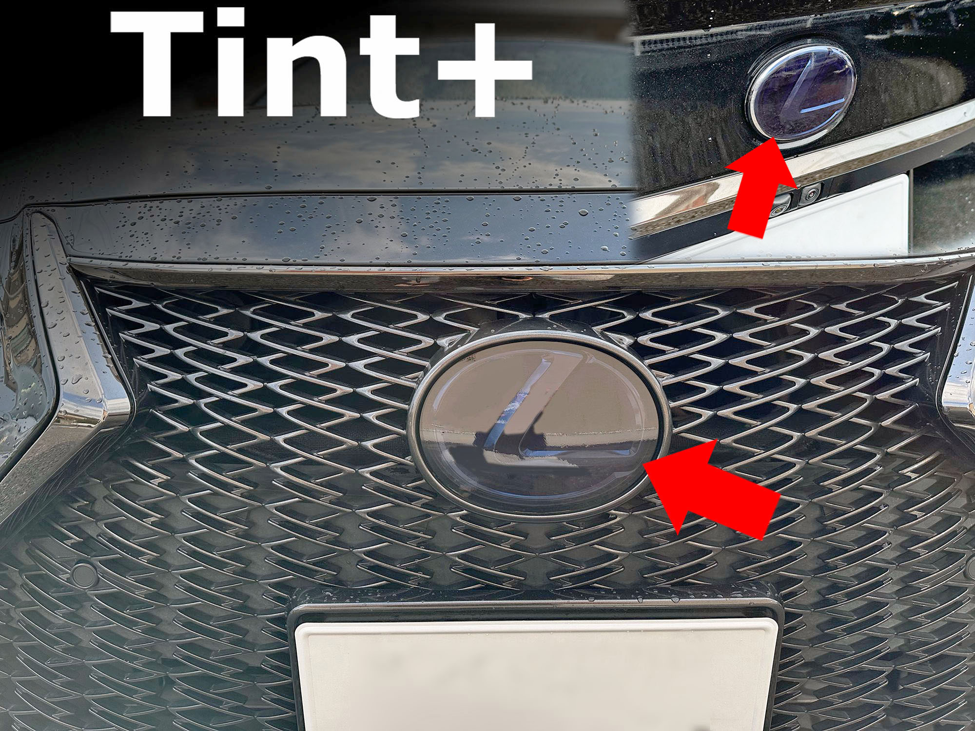 Tint+ エンブレム スモークフィルム (スモーク20％ 前後 2枚 セット) レクサスES ES300h AXZH10 AXZH11 前期 後期