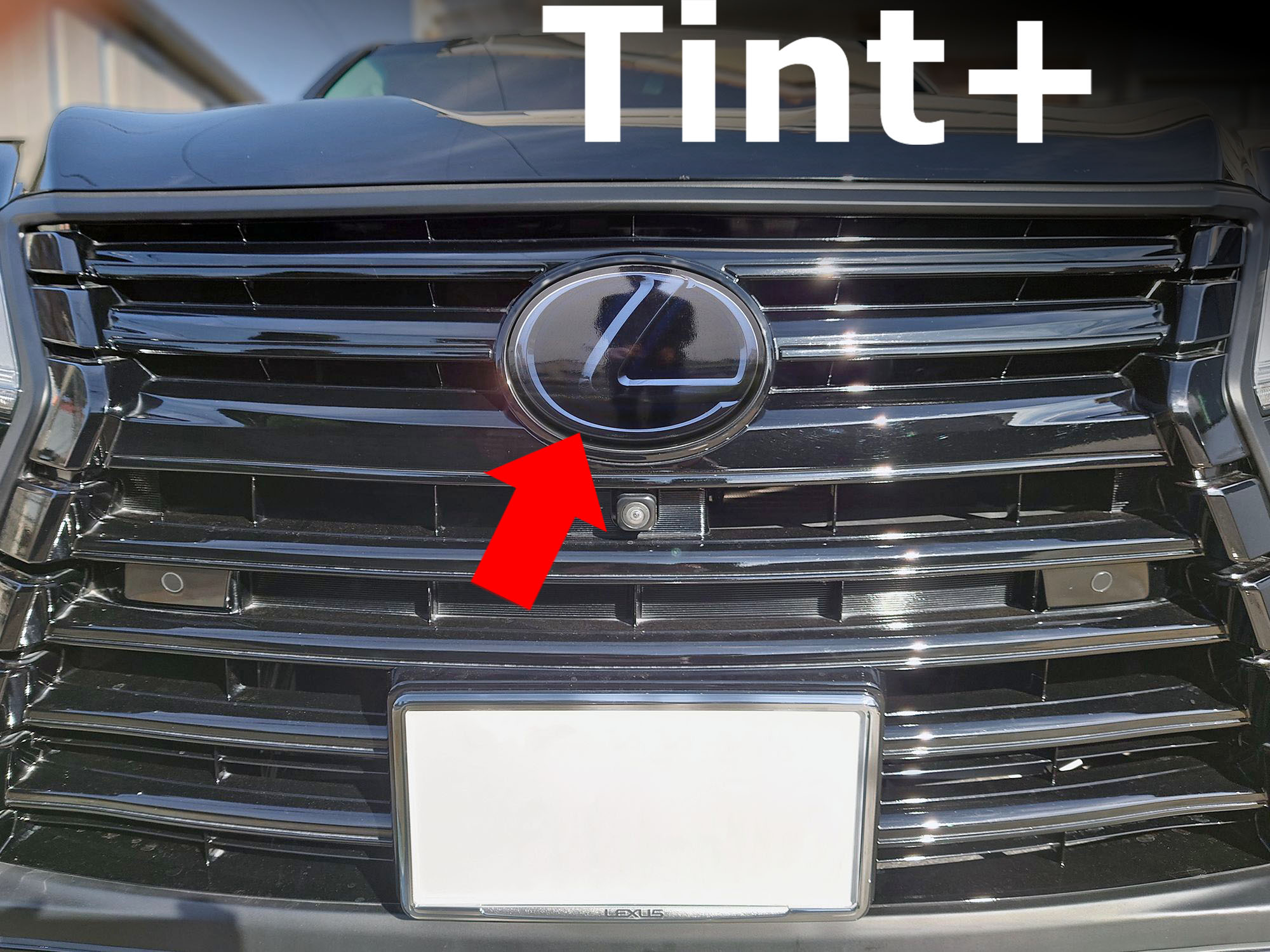 Tint+ エンブレム スモークフィルム (スモーク 20％) レクサスLX LX570 URJ201W lx urj200