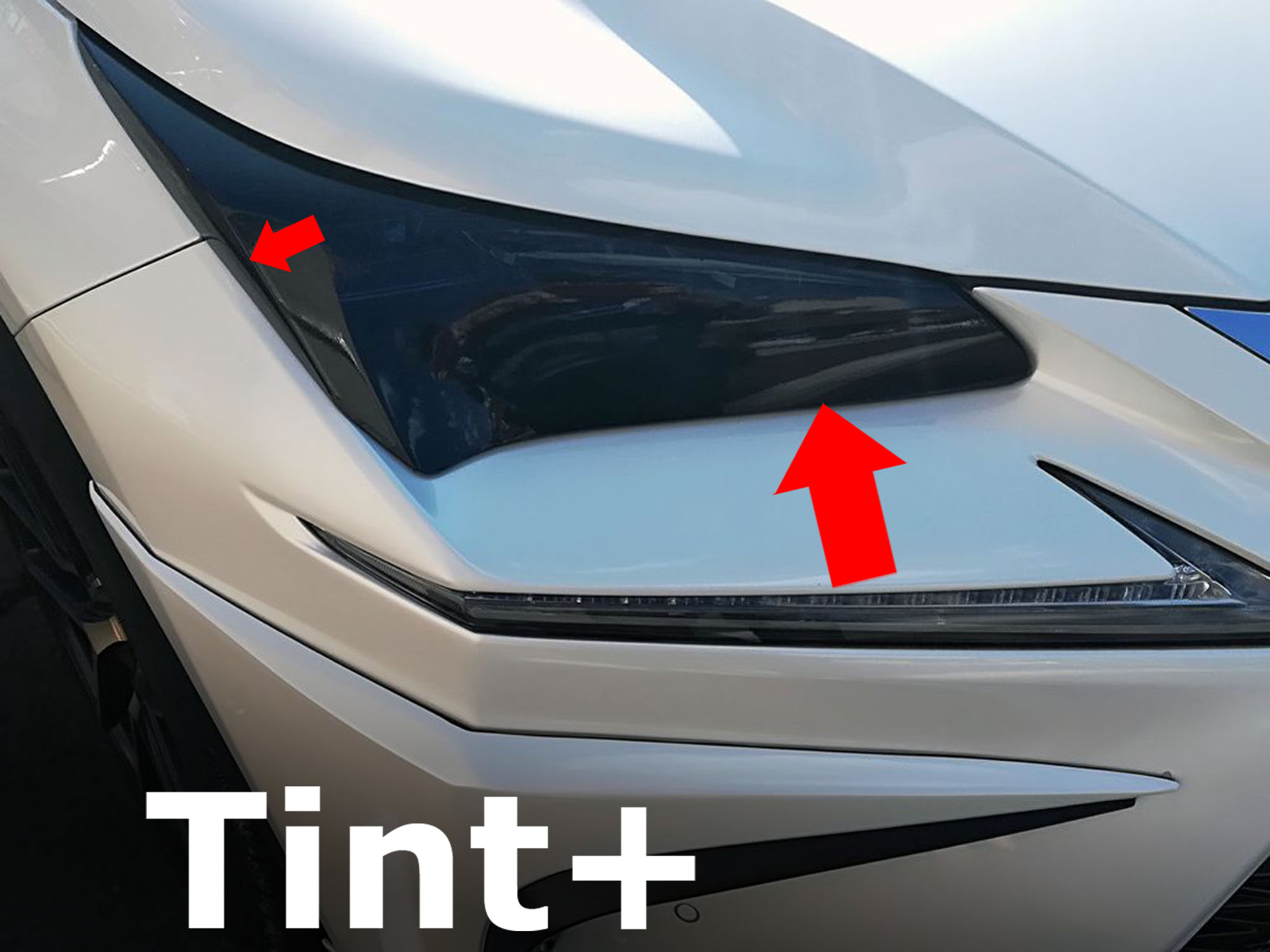 Tint+ ヘッドライト スモークフィルム レクサスNX NX200t NX300h AGZ10 AGZ15 AYZ10 AYZ15 前期