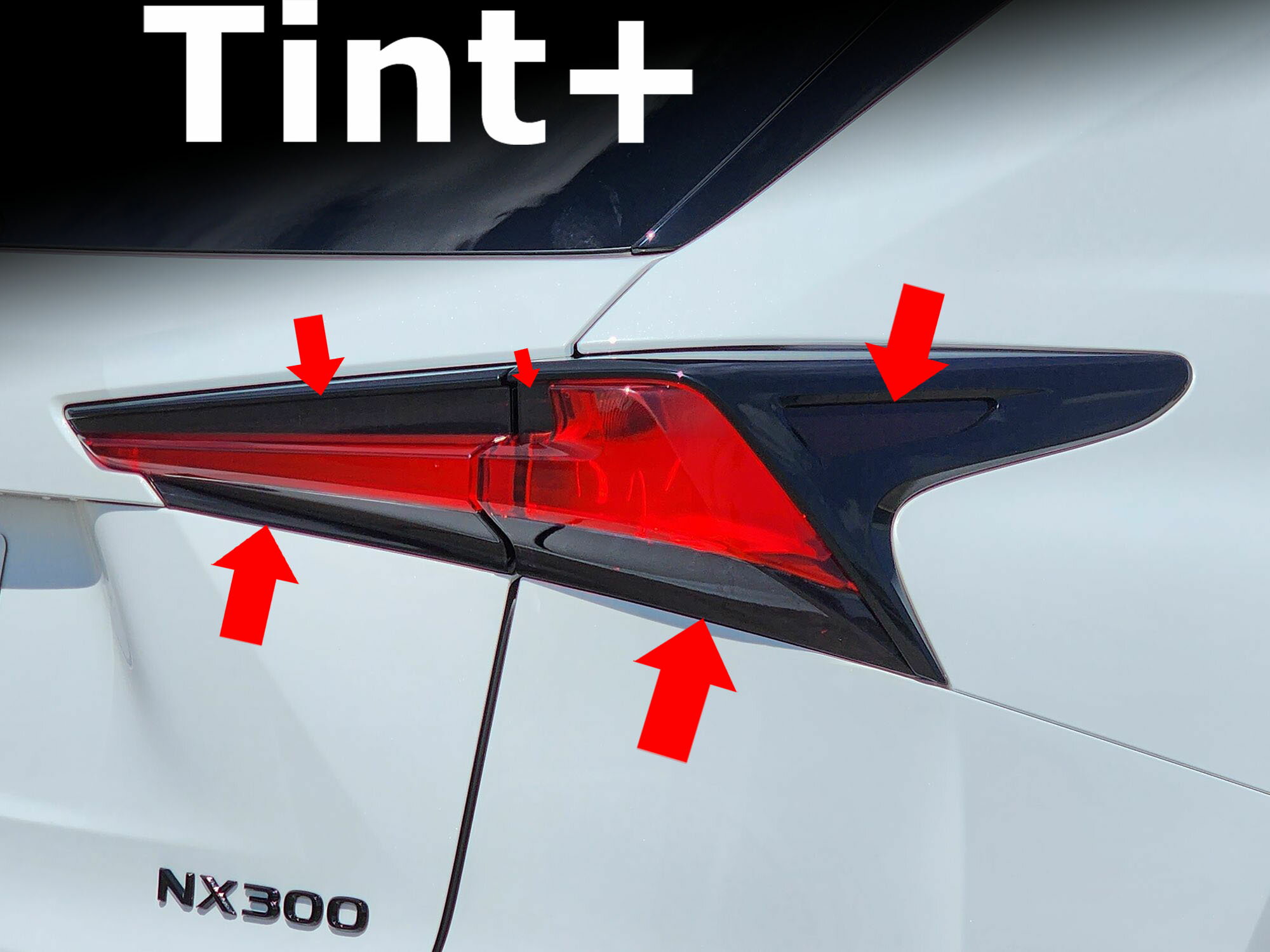 Tint+ テールランプ スモークフィルム レクサスNX 20 後期 NX300 NX300h AGZ10 AGZ15 AYZ10 AYZ15 レクサス NX