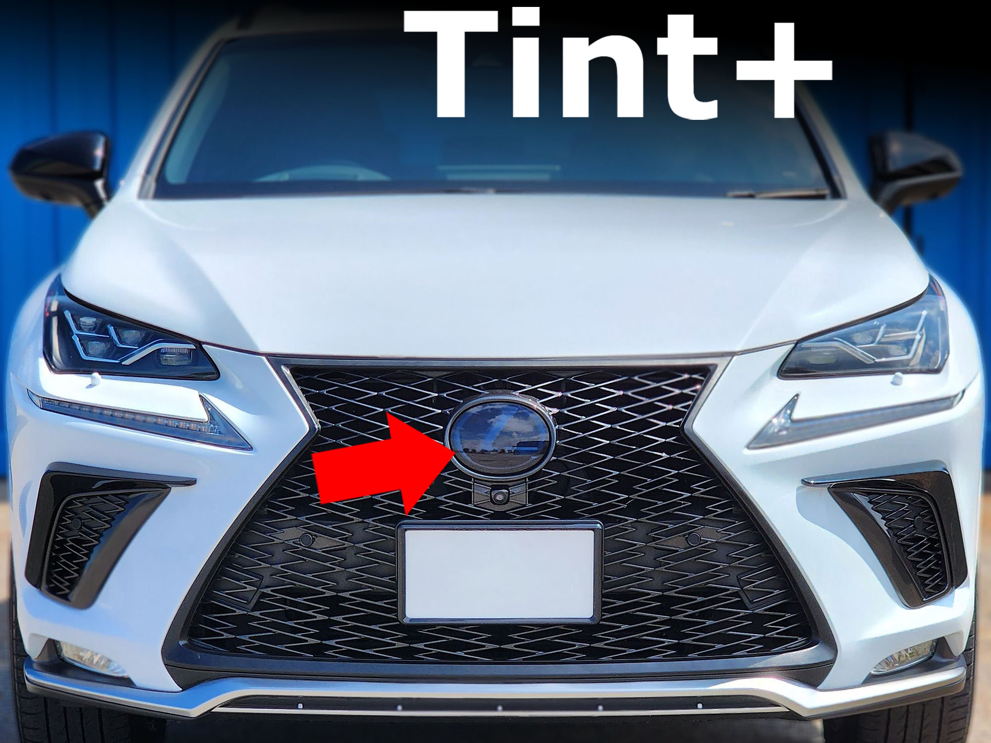 Tint+ エンブレム スモークフィルム (スモーク 20％ フロントのみ) レクサスNX NX200t NX300 NX300h AGZ10 AGZ15 AYZ10 AYZ15 前期 後期 nx 10系