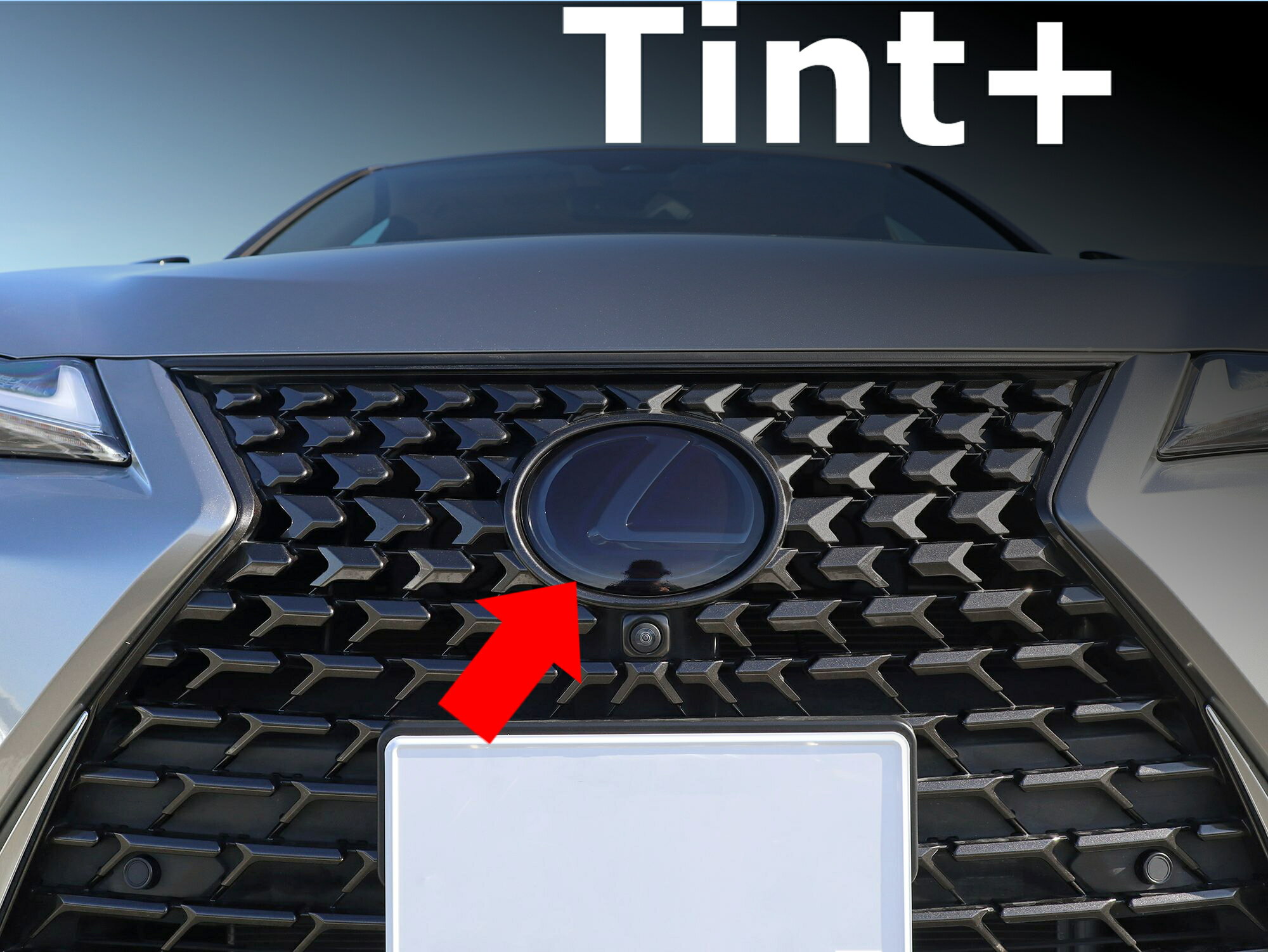 Tint+ エンブレム スモークフィルム (スモーク 20％ フロントのみ) レクサスUX UX200 UX250h UX300h UX300e MZAA10 MZAH10 MZAH11 MZAH15 MZAH16 KMA10 ux