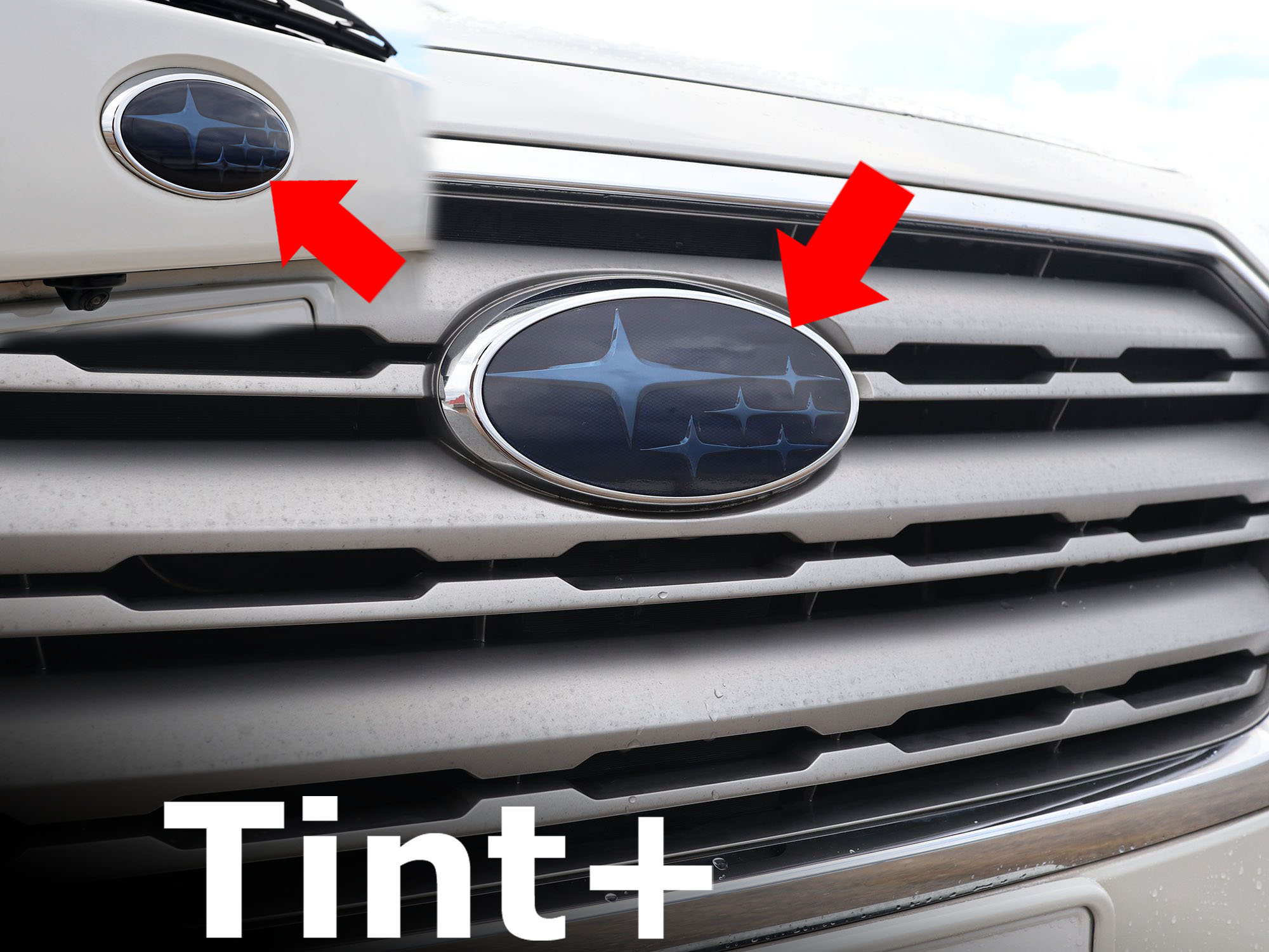 Tint+ エンブレム スモークフィルム (スモーク 20％ 前後 2枚 セット) レガシィ アウトバック BS9 bs レガシイ レガシー