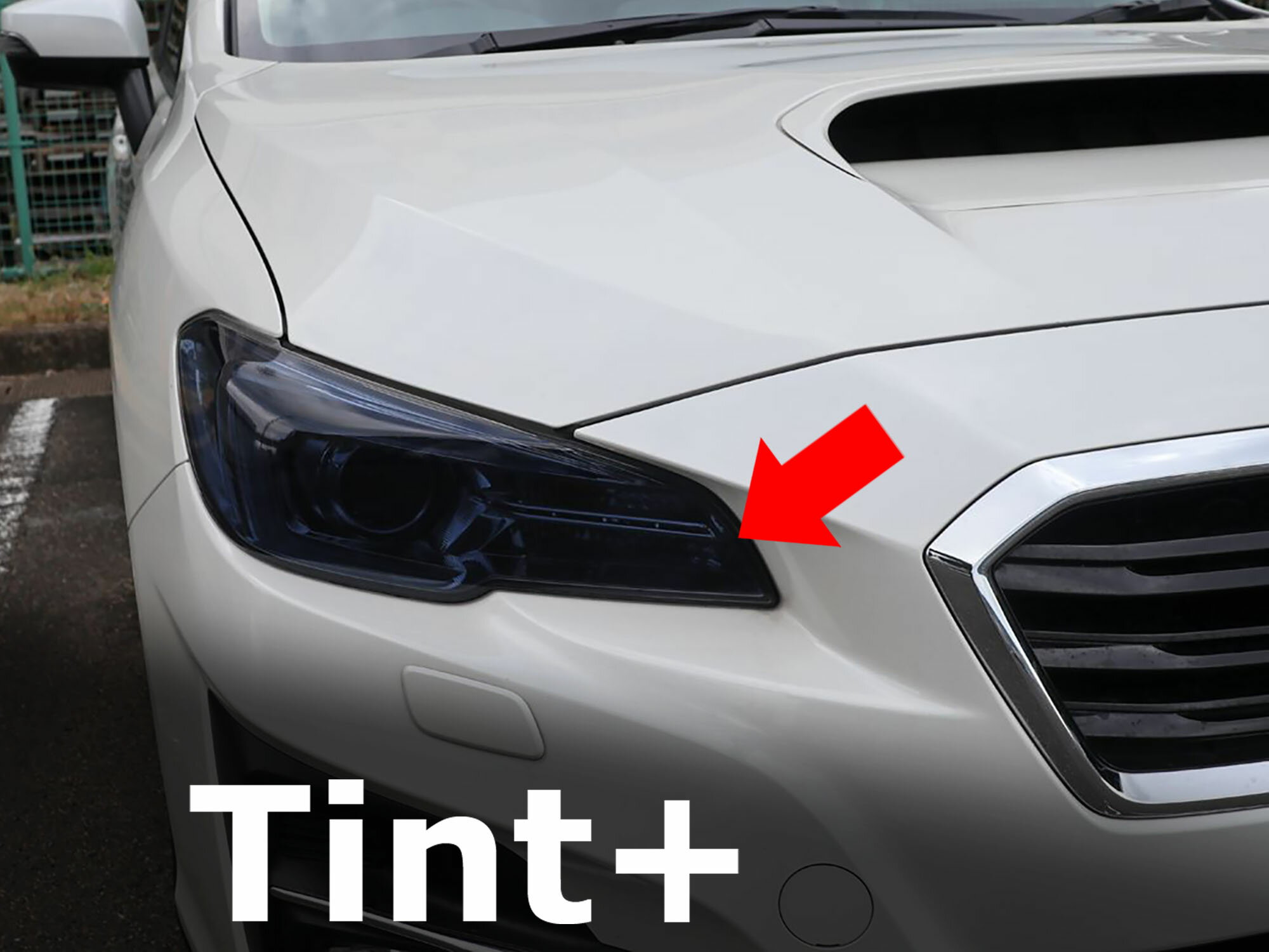 Rakuten - Tint+ ヘッドライト スモークフィルム(Type1：フルスモークタイプ) レヴォーグ VM4 VMG 前期 後期