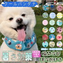 2点以上で1点毎に100円OFFクーポン! 犬 猫 夏 クールネック 暑さ対策 国産保冷剤付き クールバンダナ クールバンド ネッククーラー 小型犬 中型犬 大...