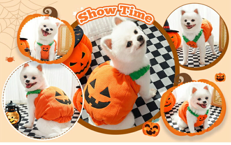 ���� ǭ�� ������ �ͤ��� �ڥå��� �ϥ������� ���� ���ܤ��� ����å�����󥿥� ˹�� ���å� �������塼�� ���� �ɴ� ������ �淿�� ����� �ȥ��ס��ɥ� �衼���� �ޥ������ �ڥå��� �ڥåȥ����� �ѡ��ƥ��� ��ǰ����