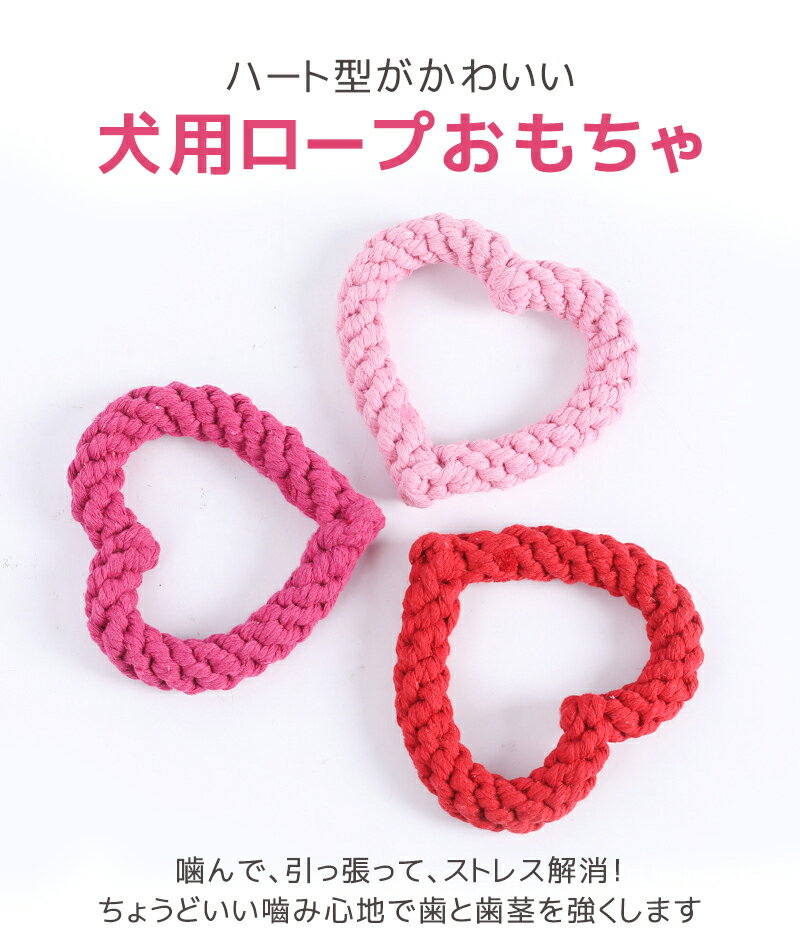 2���ʾ��1�����100��OFF�����ݥ� �� ������� ������ �ϡ��ȷ������� �� ��� ���� �Ҹ� ������ �淿�� ������ ��� ����ĥ�� �Ҷ����� ���᤭ ������OK �ڥåȤ������ �ڥåȥȥ� ǭ ��� �ڥå��Ѵ�� ͷ�� ����ĥ�� ���Ȼ��ԥ��� ���ȥ쥹��� �ǥ󥿥륱��