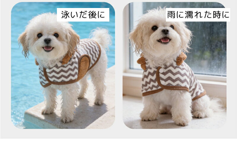 ���� ǭ�� ������ �ͤ��� �ڥå��ѥХ������� �ۿ奿���� �Х������� ���޼��ա����դ� �ޥ������ե����С� ®�� �ۿ� ����Ϥ�� �ɥ饤������ �ڥåȥ����� �ڥåȥХ������� ���� ǭ�� ������ �淿�� Ķ�ۿ� �դ�դ� ���餫�Ǻ� �����ס��� �ɥ饤������ �դ�դ�