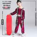 子供 ヒップホップ 衣装 ダンス衣装 キッズ 女の子 韓国子供服 おしゃれ こども服 ガールズ HIPHOP ジャズ衣装 ヒップホップ 演出服 個性 練習着 スポーツ スウェットセット アップ 2点セット 上着 ズボン 150 160 170 180 190cm