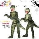 コスプレ ハロウィン 衣装 子供 男の子 COS 動物 ワニ 恐竜 モンスターズ Halloween キッズ コスチューム 子供用 ハロウィン コスプレ キッズ 子ども用 こども 仮装 変装 コスチューム 演出服 発表会 万聖節 セット 90 100 110 120 130 140 150 160 170cmの商品画像