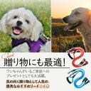リード 犬 2匹でも可 ハーネス ダブルリード 散歩 しつけ 二頭 多頭 絡まない 持ちやすい 軽量 丈夫 簡単 耐久 小型犬 中型犬 大型犬 ペット用品 人気 おすすめ 2頭引き ナスカン 取り外し可能 リード一本 レッド ブルー ストレスフリー お散歩