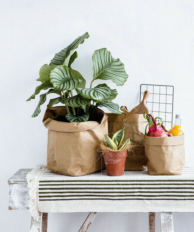 大ペーパーバッグ 小物入れ 鉢カバー 25cm グレー/黒/ナチュラル 観葉植物 フェイクグリーン