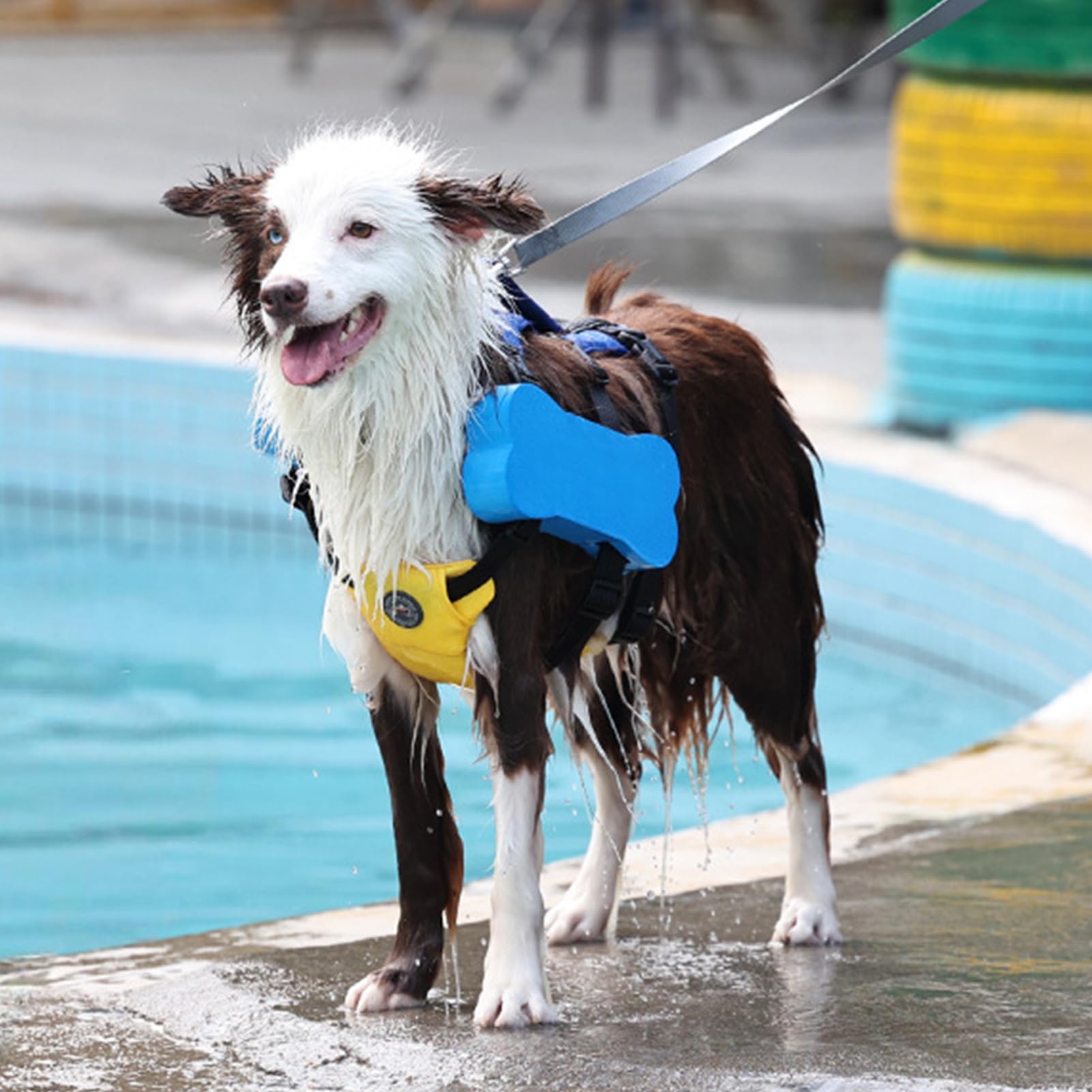 調整可能な犬のライフジャケット - 反射的な水泳ベスト、高い視認性ペット安全ベスト|水泳、ボート、ウ..