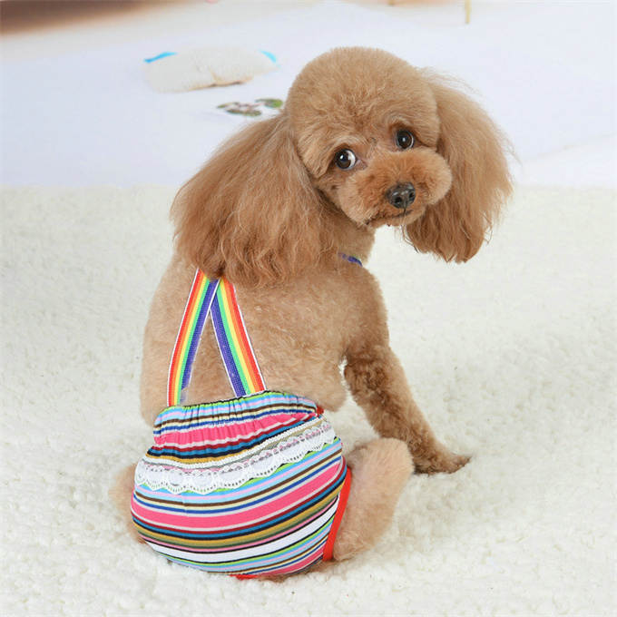 犬用 生理パンツ 胸当てサニタリーパンツ サスペンダー付き 女の子用　マナーパンツ 犬 おむつカバー ペット しつけ用品 かわいい 犬服 ドッグウェア おむつ 小型犬 お出かけ