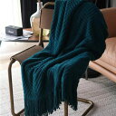 送料無料 フリンジ付きブランケット 北欧 大判 おしゃれ マルチカバー 北欧 夏用 大判 ひざ掛け INS フリンジ インテリア ソファ ベッド ニット カバー 膝掛け 大判ブランケット ベットカバー スローケット ソファーカバー ソファカバー プレゼント シングル お祝い 5色