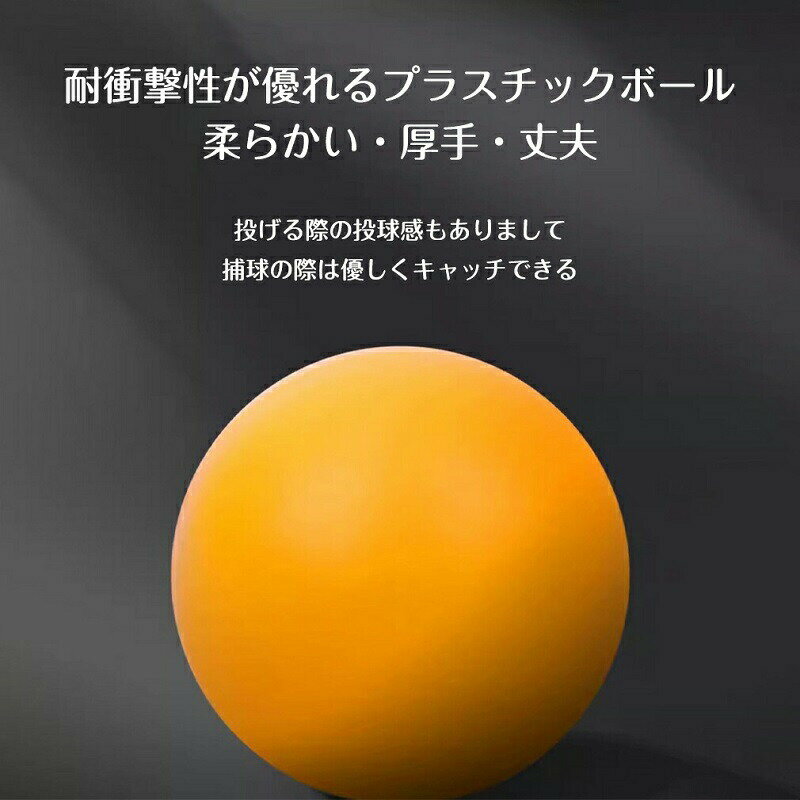 ピンポンキャッチャー ビーチ投げゲーム 投げゲームおもちゃ トスアンドキャッチボールセット ビーチで楽しむ ストレス解消 エクササイズ 反応スキルの練習 親子スポーツ アウトドアカーニバル キャンプ旅行 家族の集まり 屋内 屋外