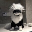 ハロウィン 猫コスプレ コスプレ帽 ペットコスチューム 小型犬用コスチューム 猫用コスチューム コスプレ 仮装 アニメウィッグ 被り物 アイマスク 写真小道具 ...