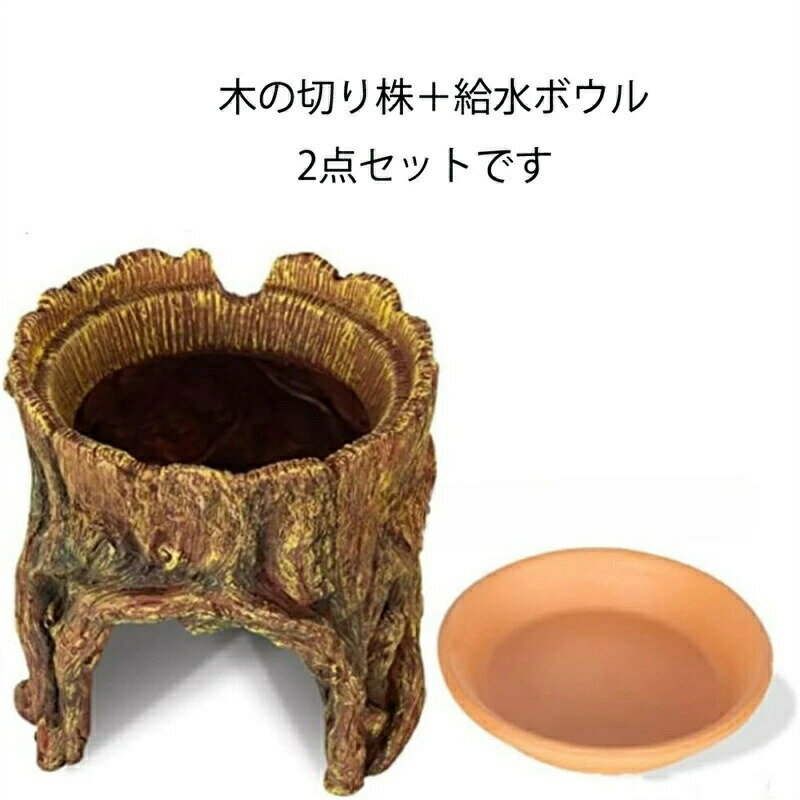 爬虫類 シェルター 隠れ家 ウェットシェルター 木の穴 洞窟 穴 両生類 飼育 保湿 ハイドロボックス 両生類用品