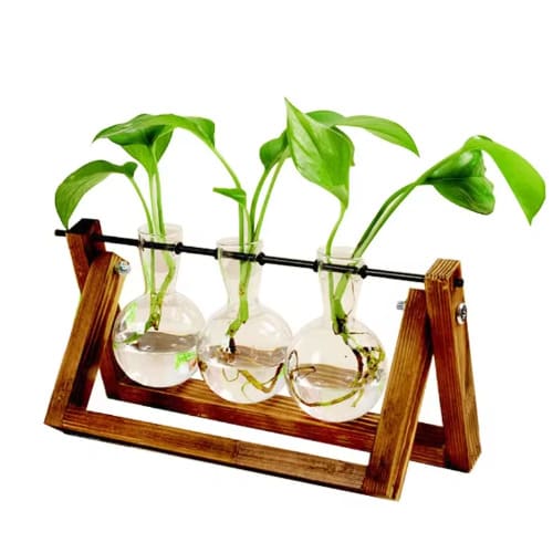 花瓶 3個 一輪挿し ガラス 透明 試験管 木製 おしゃれ フラワーベース 北欧 韓国 インテリア ヴィンテージ 枝物 観葉植物 ドライフラワー