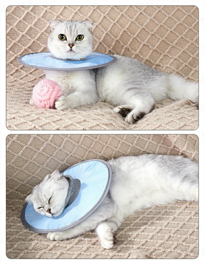 エリザベスカラー ペット 犬 猫 ソフト 超軽量 術後 傷口保護 傷舐め防止 小型犬 引っ掻き防止 介護 術..