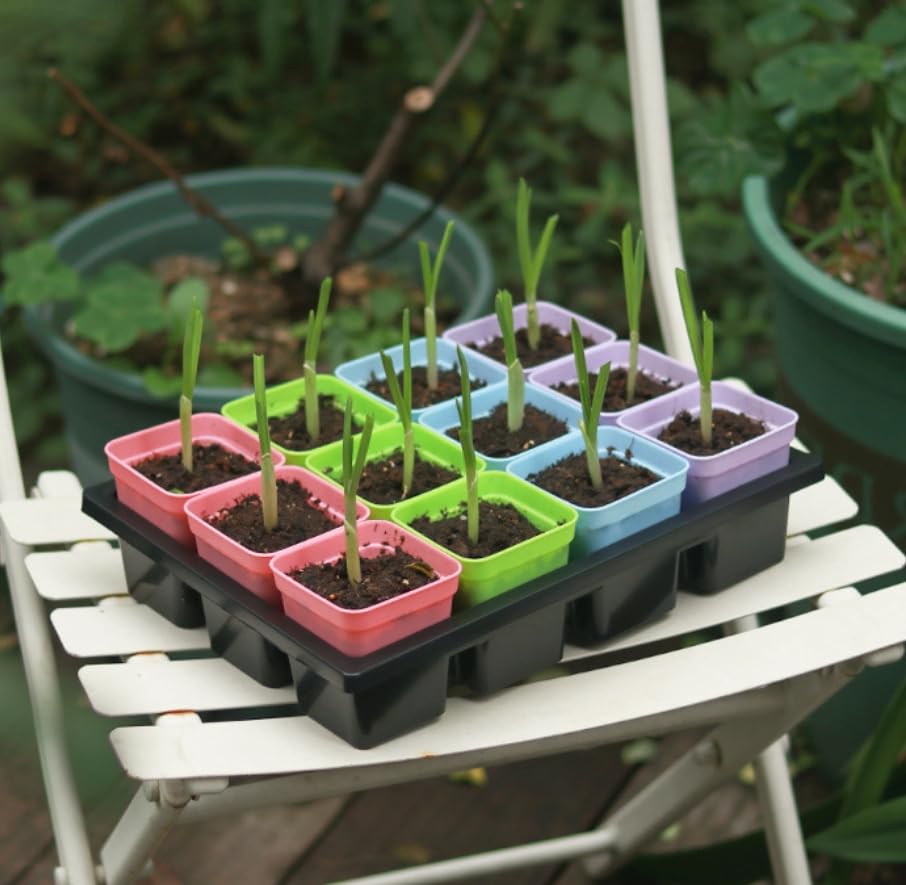 育苗ポット 育苗箱 12穴 種子トレイ 高苗箱 ソフトシリコンベース 新芽の移植が簡単 発芽育苗 セット ..