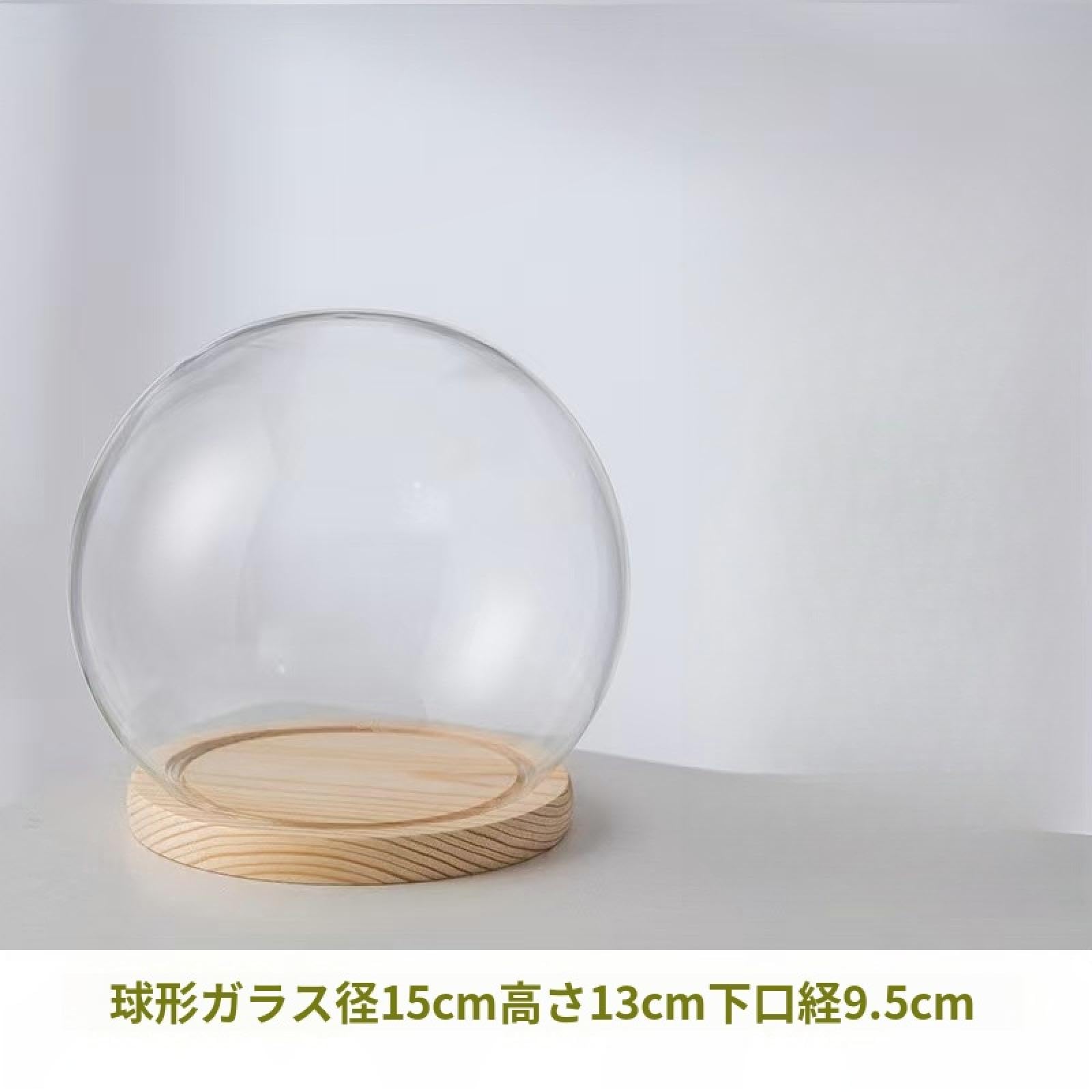 ガラスドーム 球の形 ガラスケース フラワー ディスプレイ 木質ベース付き ディスプレイケース 花瓶 容..