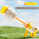 水鉄砲 超強力飛距離 大容量 加圧式 水ピストル 水鉄砲合戦 水遊びおもちゃ 玩具 ウォーターガン 水てっぽう 子供用 大人 海水浴 プール 川 キャンプ バーベキュー お風呂水鉄砲 水撃ショット キッズ 子ども会 夏休み 夏祭り 夏の定番 プレゼント