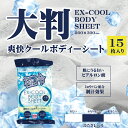 爽快クールボディシート(大判) 15枚/30枚 ボディケア クール 冷感 ひんやりグッズ cool 爽快 清涼感 べたつき 汗 すっきり き取り ボディ用シート
