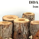 【DDA】newクラフトウッド Mサイズ ランダム 1個 dda クワガタ カブトムシ 止まり木 登り木 えさ皿