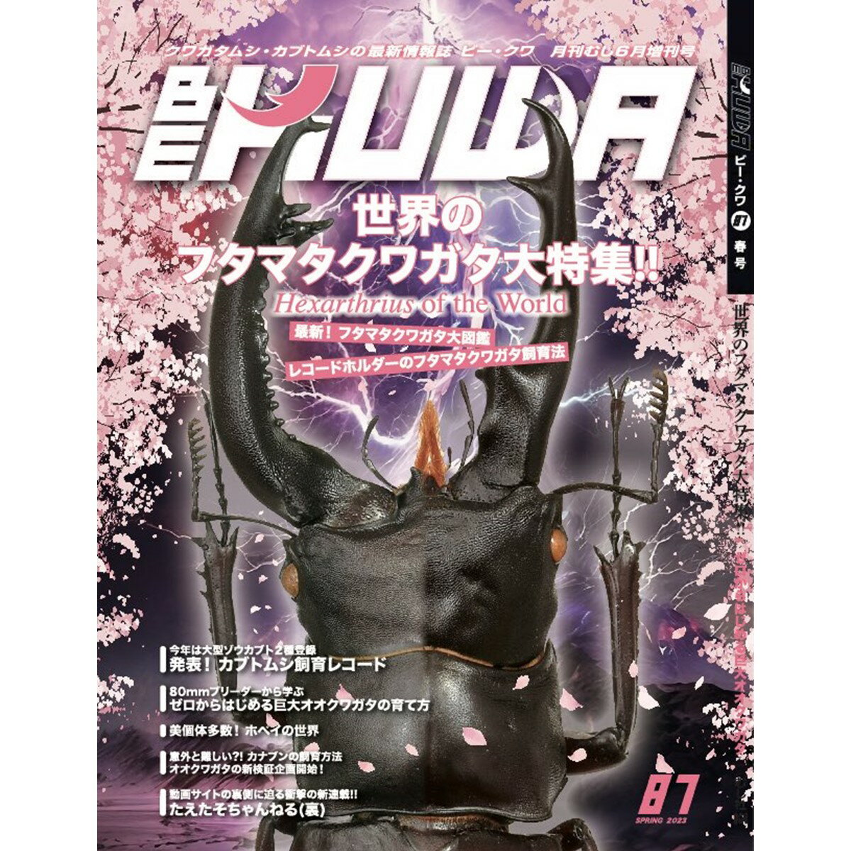 【DDA】BE-KUWA 最新号No87「世界のフタマタクワガタ大特集!!」 dda クワガタ カブトムシ 雑誌