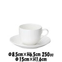 シャンテ 兼用コーヒー碗&シャンテ 15cmソーサー 白 割れにくい強化硬質磁器 コーヒーカップ&ソーサーセット カフェ食器 陶器磁器 おしゃれな業務用食器