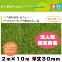 ＼4/29まで!550円週末クーポン／ 【法人様限定商品】リアル人工芝 クローバーターフ レギュラータイプ グリーン 2m×10m 草丈30mm（プロ仕様・防炎試験適合・遮熱素材）