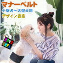 \本日限定P2倍/ 犬 マナーベルト 男の子 脱げない おしゃれ 可愛い ずれない 洗濯可 / 超小型犬 小型犬 中型犬 大型犬 マナーバンド チワワ トイプー...