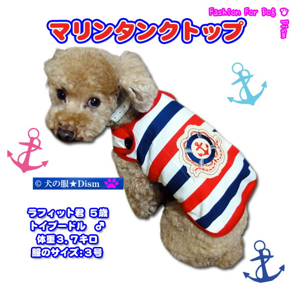 犬服 マリンタンクトップ（超小型