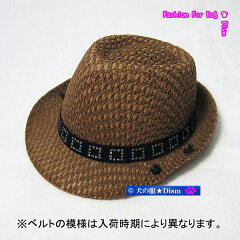 https://thumbnail.image.rakuten.co.jp/@0_mall/ddiissmm/cabinet/hat/bighat-koibrown.jpg