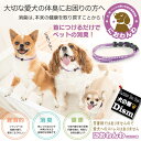 犬用消臭首輪 ペットの臭いを消す健康首輪 におわんわ(Lサイ...