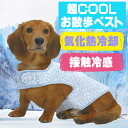\本日最終300円オフ/ 犬服 マルカン 超COOL お散歩ベスト S ( 小型犬用 ) 冷感 夏服 チワワ ポメラニアン シーズー パグ トイプードル ミニチ...
