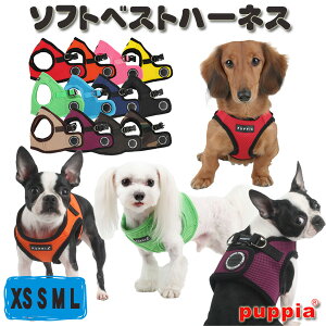 犬用ハーネス｜おしゃれなミニチュアダックス用！抜けにくい人気ハーネスのおすすめは？