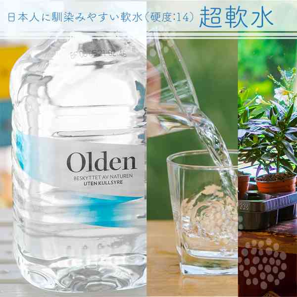 北欧 ノルウェー 天然水 オルデン 5000ml×4本 ミネラルウォーター 軟水 鉱泉水 氷河水 ナチュラルミネラルウォーター ギフト 備蓄 飲料水 料理用 コーヒー用 ddiissmm-10044636 DISM & Co. サンプル画像2