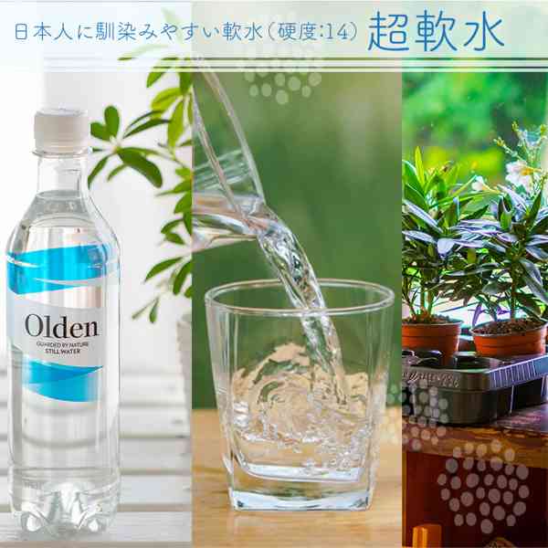 ミネラルウォーター オルデン 500ml 24本 北欧 ノルウェー 天然水 軟水 鉱泉水 氷河水 水 ペットボトル 飲料水 ナチュラルミネラルウォーター 飲みやすい 備蓄用 ddiissmm-10044635 DISM & Co. サンプル画像2