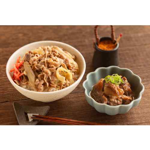 ＼本日P4倍+500円オフ／ 大阪 日本料理 寺田 監修 国産 牛すじ煮込み 牛丼の素 2種...