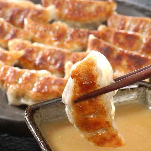 DISM & Co.の兵庫 芦屋伊東屋 謹製 鹿児島黒豚100% 黒豚餃子 2折 焼き小籠包 セット 冷凍 お取り寄せ ギフト 点心 中華 ぎょうざ｜アングル3