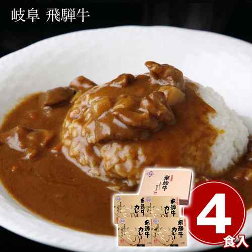 飛騨牛 カレー セット 4食 詰め合わせ 冷凍 和牛 黒毛和牛 岐阜県 ご当地 グルメ お取り寄せ 惣菜 高級 カレーライス 中辛 贅沢 保存食 常備 ギフト 贈答 景品 飛騨牛カレー 220g 4個 ddiissmm-10041636 DISM & Co. パッケージ画像