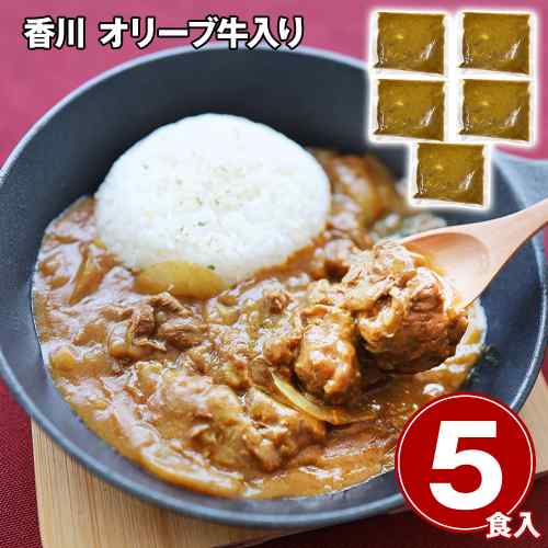 香川県産 オリーブ牛 ビーフカレー 5食セット 1kg (200g×5) 冷凍 贅沢 惣菜 お取り寄せ グルメ スパイシー カレー 詰め合わせ 湯煎 簡単調理 牛肉 煮込み ギフト のし対応 讃岐 濃厚 コク 高級 ddiissmm-10040947 DISM & Co. パッケージ画像