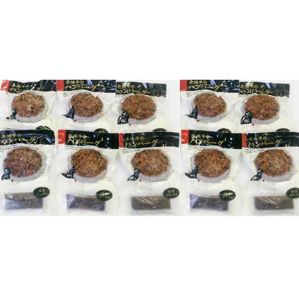 赤城牛 ハンバーグ 10個 デミグラスソース付 無添加 粗挽き 国産 牛肉 豚肉 もちぶ...