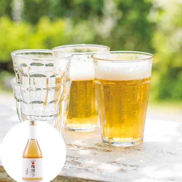紀州南高梅 完熟梅使用 和歌山 梅搾り 490ml 化粧箱入 4倍希釈 梅ジュース 梅シロップ 高級 ギフト 贈り物 お中元 御中元 内祝 プレゼント 贈答用 国産 かき氷 シャーベット 希釈用 ドリンク お取り寄せ 暑中見舞い