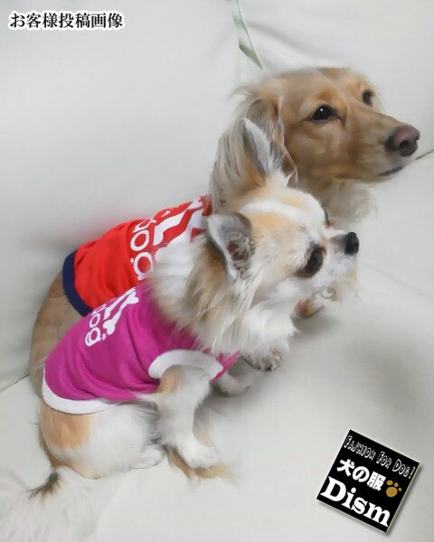 ��2��4��20���������䳫�ϡ� ���� ��å��奿�󥯥ȥå� ( Ķ������ �ͥ��� ) ����åȥ����� ���� ǭ�� [0204]