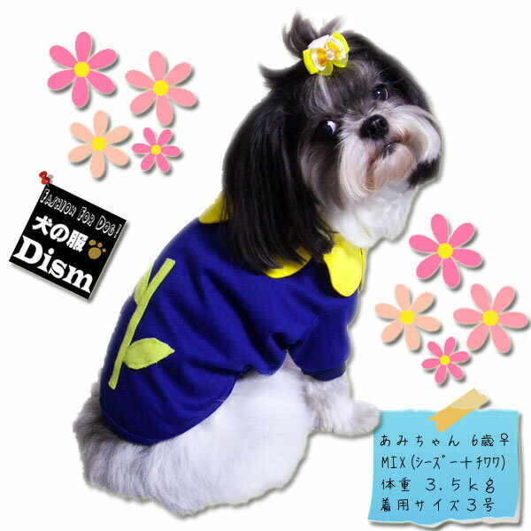 ܤ500ߥ+P2ܡ   (  淿 ) ڸ2̵ ץ 츤