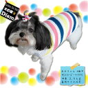 \本日最終300円オフ/ 犬服 ファンシーボーダーニット ( 小型犬 中型犬用 ) 【犬の服2点購入で送料無料】防寒着 タンクトップ 秋冬服
