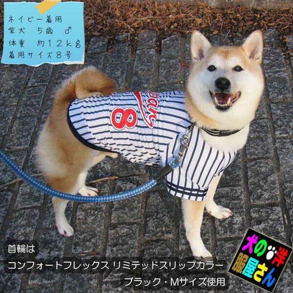 ����������P2�ܡ� ���� JAPAN��˥ե����� �١����ܡ���T����� ( �������� ) ��� ������츤��